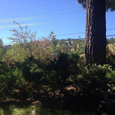 Switzerland Haus Bed And Breakfast Inn Big Bear Lake Exterior foto