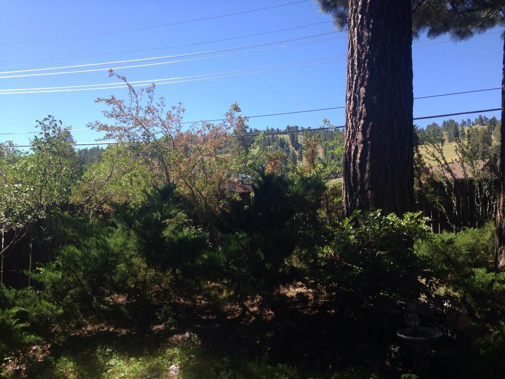Switzerland Haus Bed And Breakfast Inn Big Bear Lake Exterior foto